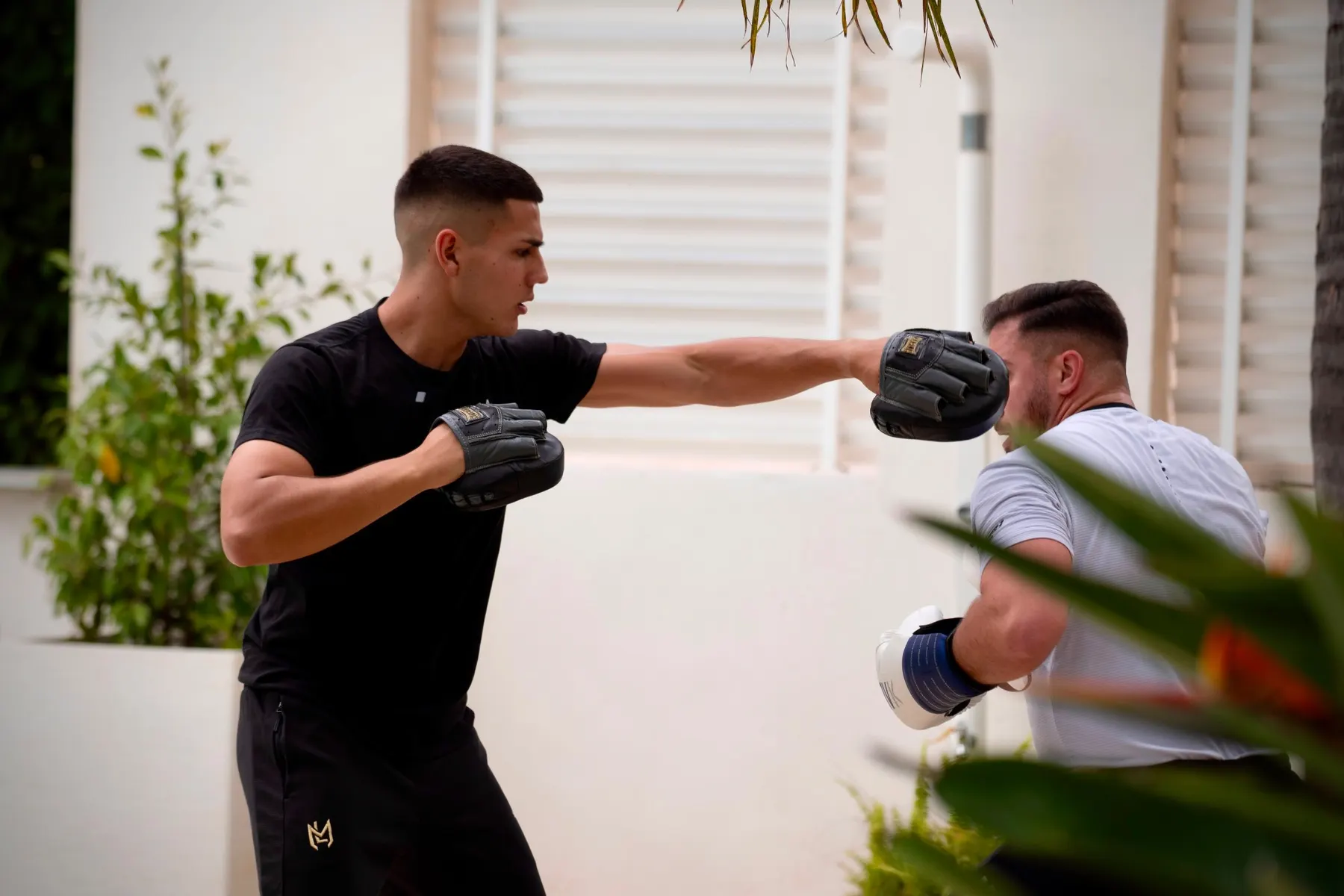 Entrenamiento de boxeo a domicilio con Labrador del Toro