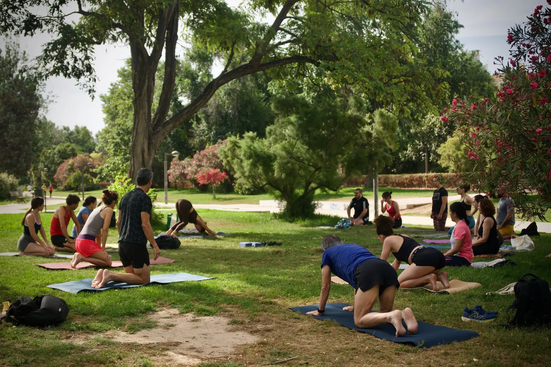 Sesión de yoga de Surya Vida al aire libre
